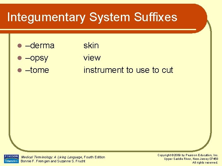 Integumentary System Suffixes –derma l –opsy l –tome l skin view instrument to use