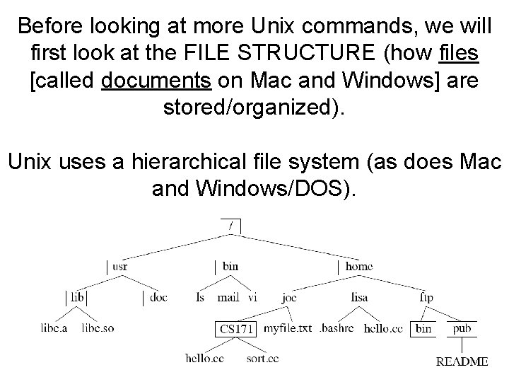 Before looking at more Unix commands, we will first look at the FILE STRUCTURE