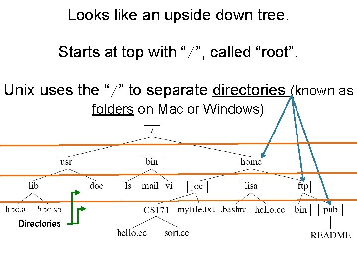 Looks like an upside down tree. Starts at top with “/”, called “root”. Unix