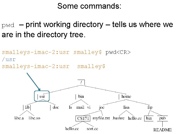 Some commands: pwd – print working directory – tells us where we are in