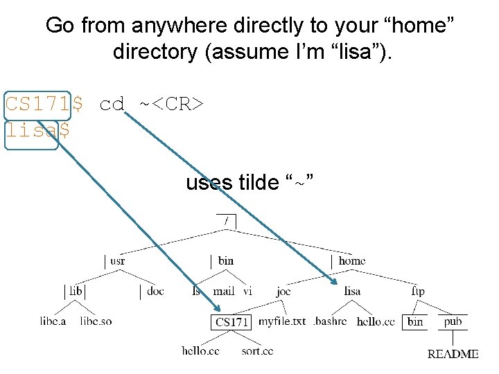 Go from anywhere directly to your “home” directory (assume I’m “lisa”). CS 171$ cd