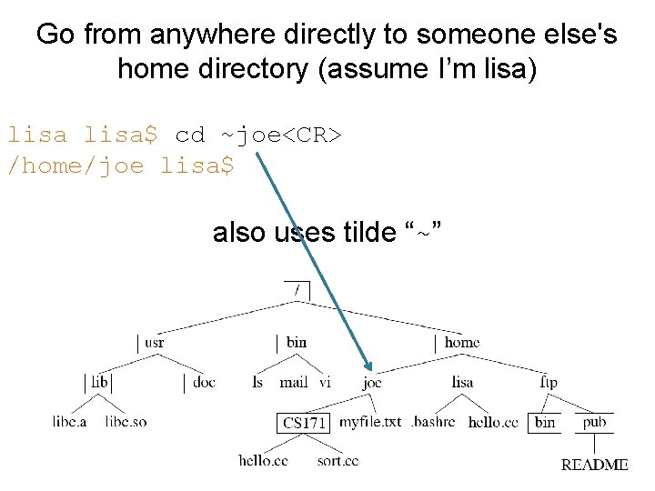 Go from anywhere directly to someone else's home directory (assume I’m lisa) lisa$ cd