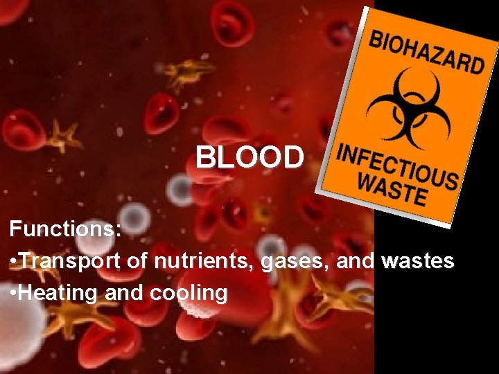 BLOOD Functions: • Transport of nutrients, gases, and wastes • Heating and cooling 
