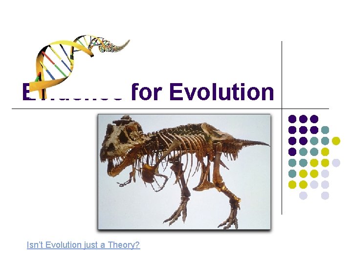 Evidence for Evolution Isn’t Evolution just a Theory? 