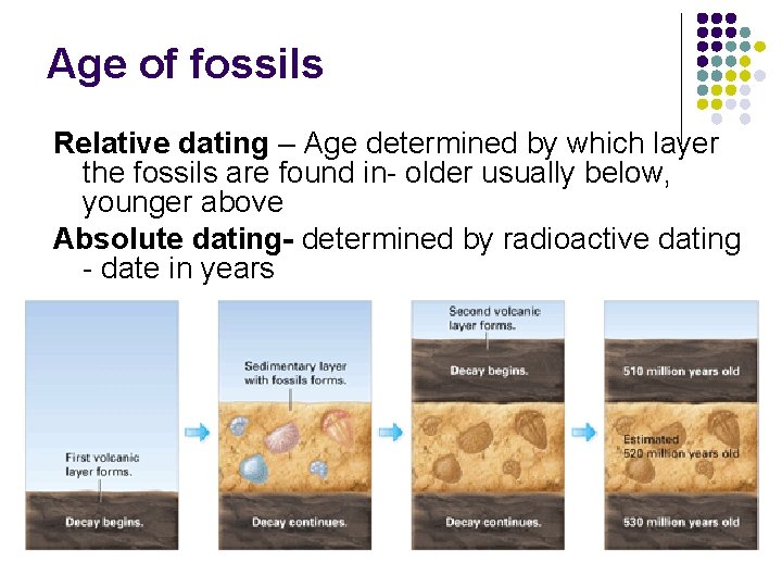 Age of fossils Relative dating – Age determined by which layer the fossils are Age of fossils Relative dating – Age determined by which layer the fossils are