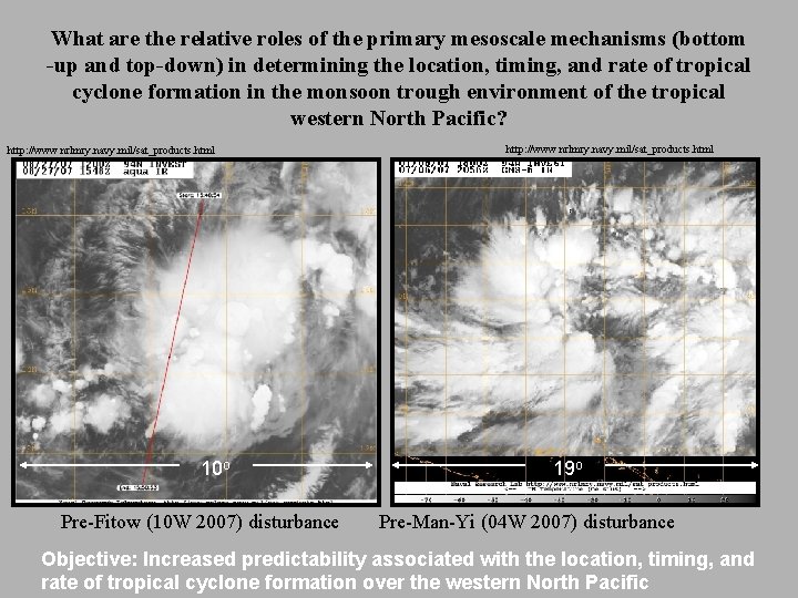 What are the relative roles of the primary mesoscale mechanisms (bottom -up and top-down)