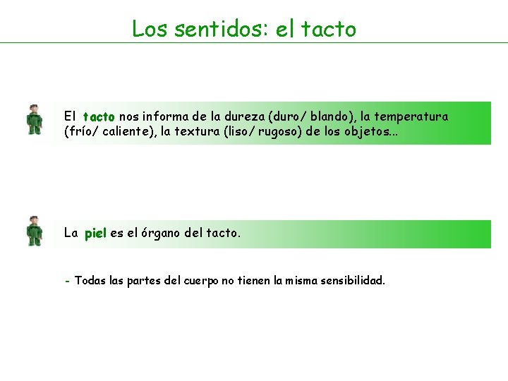 Los sentidos: el tacto El tacto nos informa de la dureza (duro/ blando), la