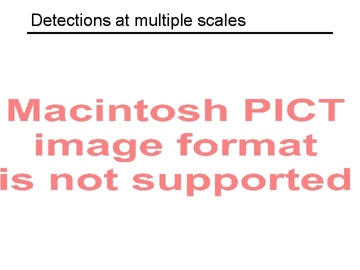 Detections at multiple scales 