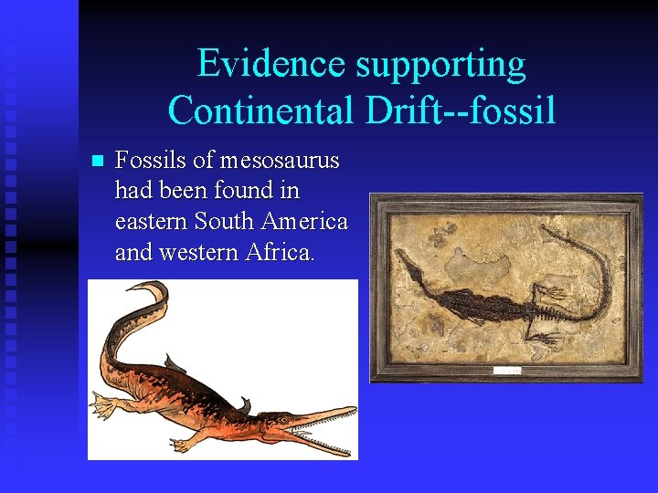 Evidence supporting Continental Drift--fossil n Fossils of mesosaurus had been found in eastern South