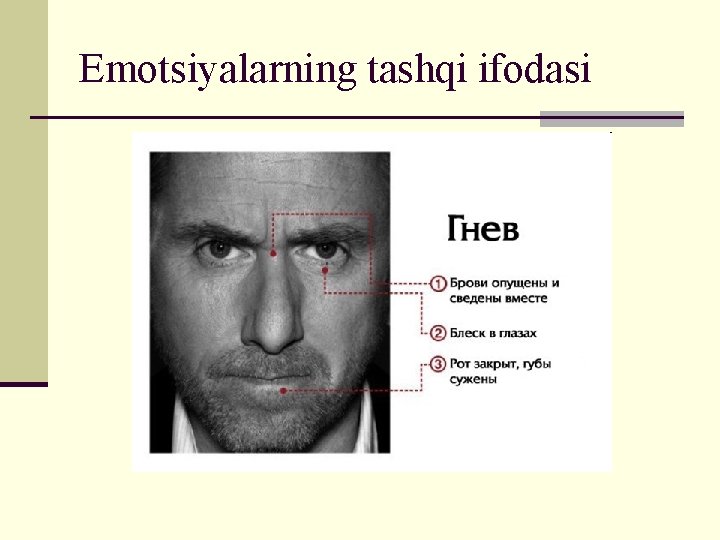 Emotsiyalarning tashqi ifodasi 