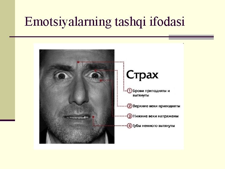 Emotsiyalarning tashqi ifodasi 