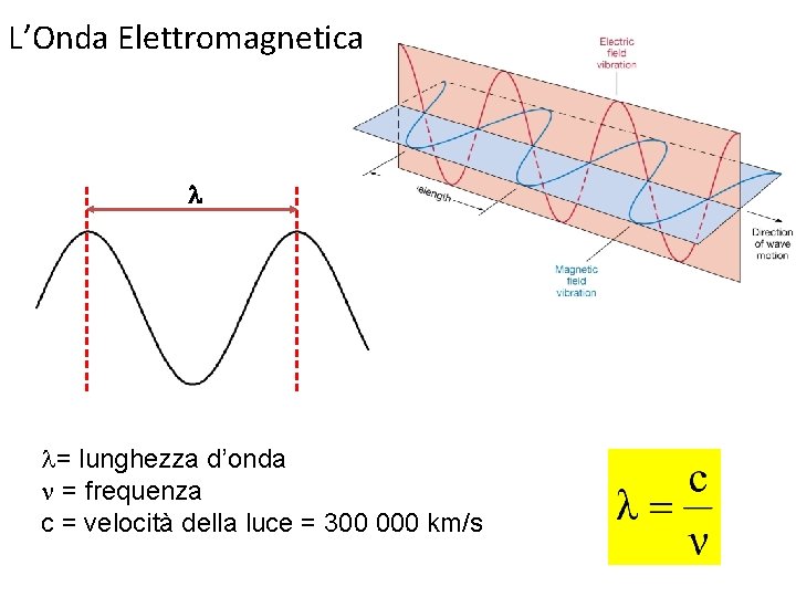 L’Onda Elettromagnetica l l= lunghezza d’onda n = frequenza c = velocità della luce