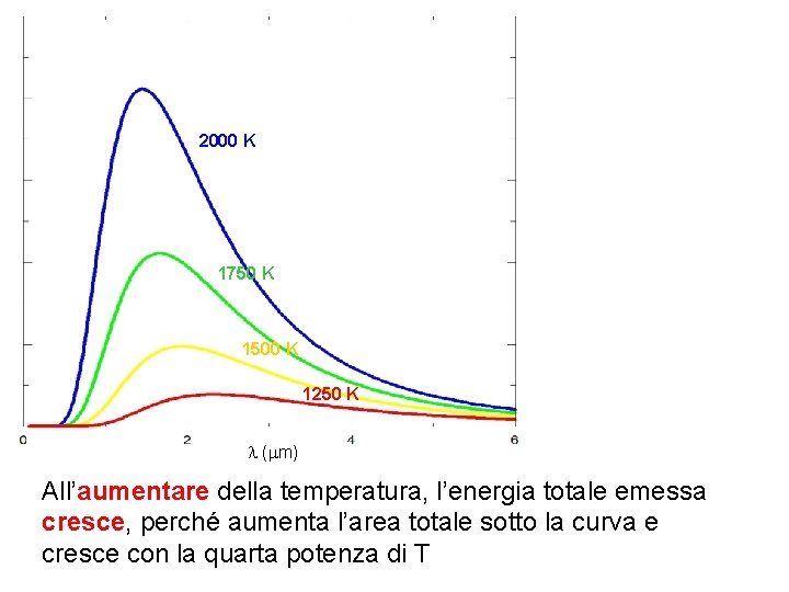 2000 K 1750 K 1500 K 1250 K l (mm) All’aumentare della temperatura, l’energia