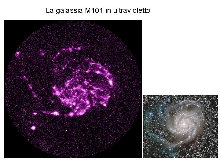 La galassia M 101 in ultravioletto 