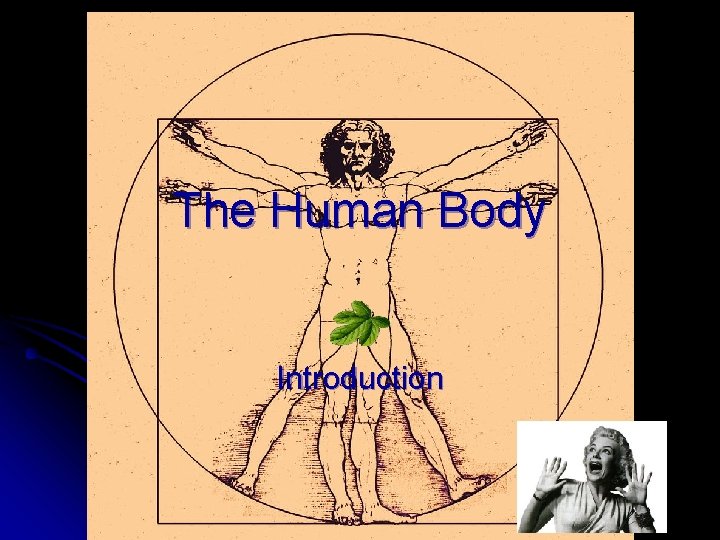 The Human Body Introduction 