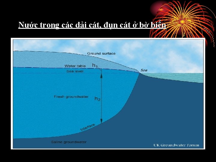 Nước trong các dải cát, đụn cát ở bờ biển: 
