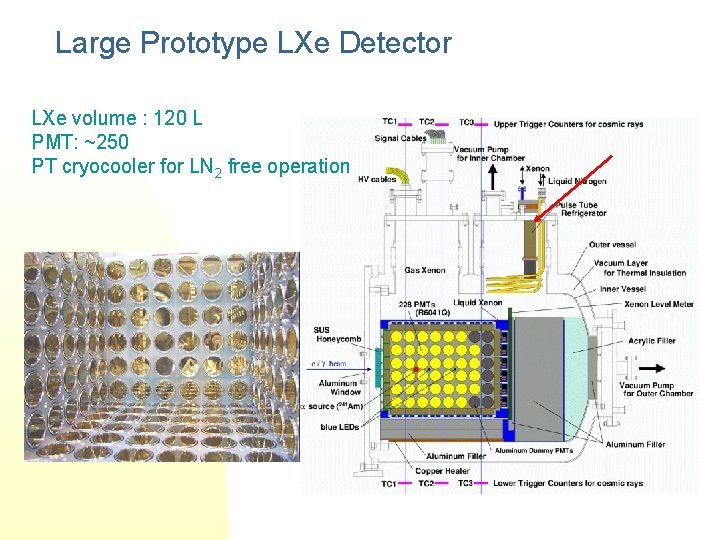 Large Prototype LXe Detector LXe volume : 120 L PMT: ~250 PT cryocooler for