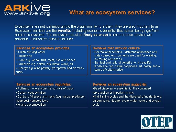 Biodiversity the fine balance of an ecosystem Design