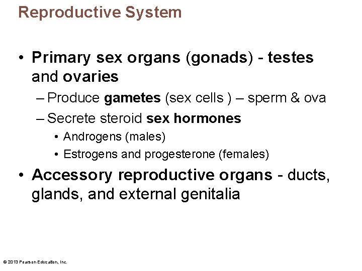 Reproductive System • Primary sex organs (gonads) - testes and ovaries – Produce gametes