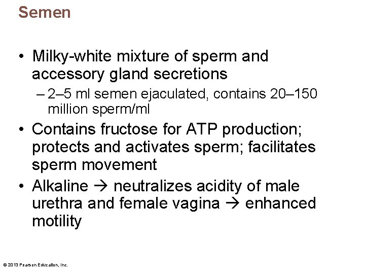 Semen • Milky-white mixture of sperm and accessory gland secretions – 2– 5 ml