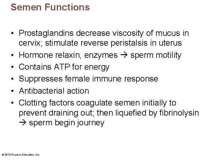 Semen Functions • Prostaglandins decrease viscosity of mucus in cervix; stimulate reverse peristalsis in