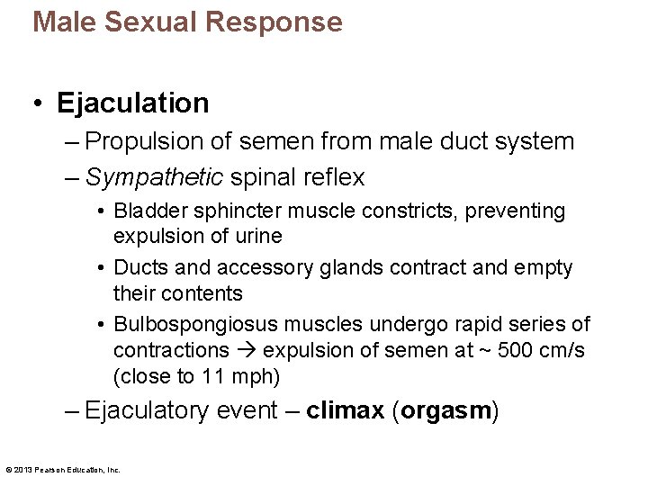 Male Sexual Response • Ejaculation – Propulsion of semen from male duct system –