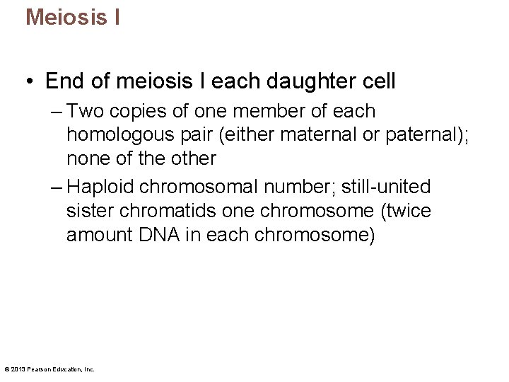 Meiosis I • End of meiosis I each daughter cell – Two copies of