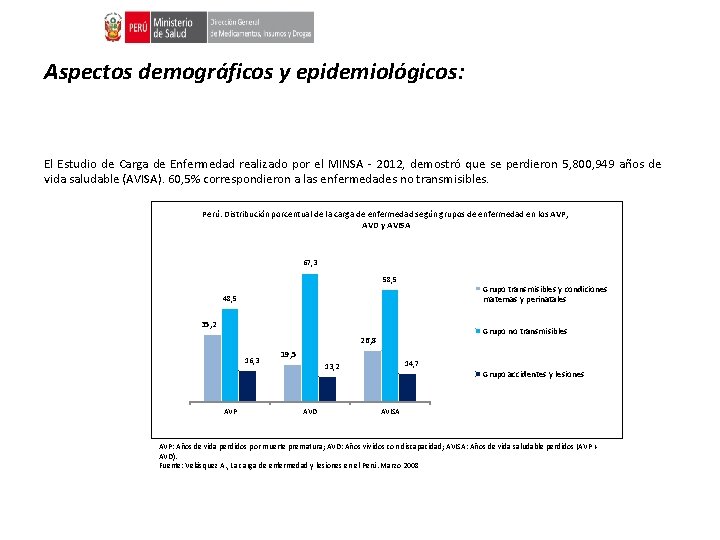 Aspectos demográficos y epidemiológicos: El Estudio de Carga de Enfermedad realizado por el MINSA