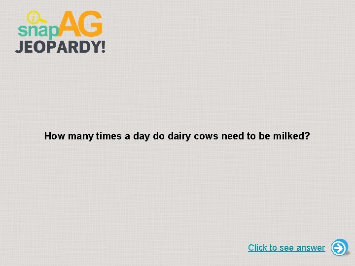 How many times a day do dairy cows need to be milked? Click to