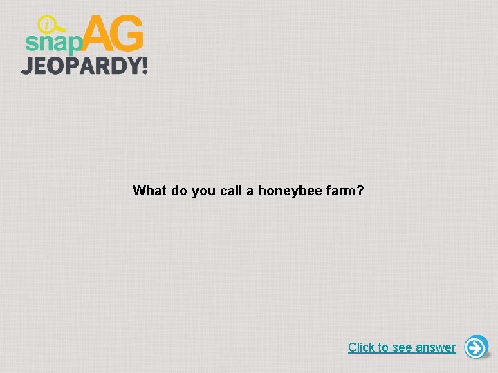 What do you call a honeybee farm? Click to see answer 