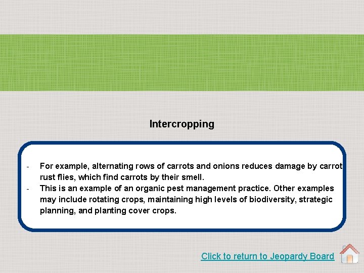 Intercropping - For example, alternating rows of carrots and onions reduces damage by carrot