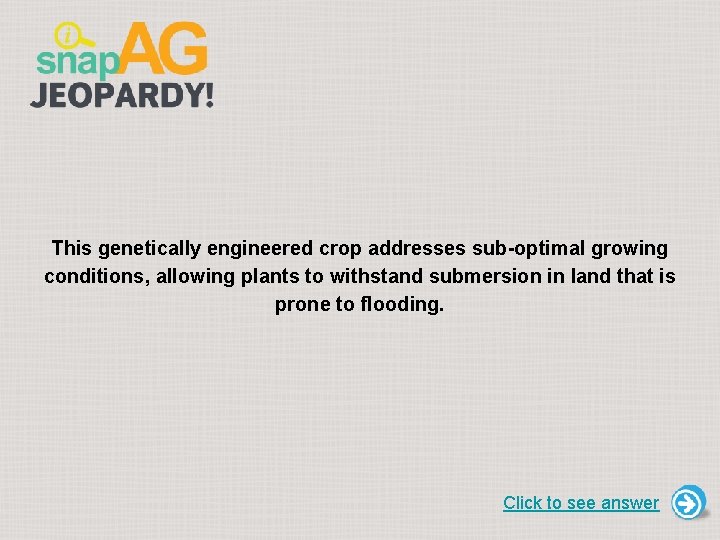 This genetically engineered crop addresses sub-optimal growing conditions, allowing plants to withstand submersion in