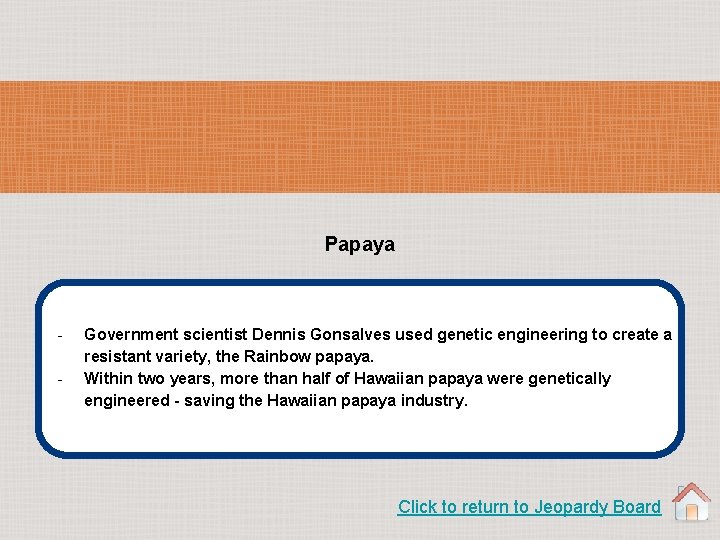 Papaya - Government scientist Dennis Gonsalves used genetic engineering to create a resistant variety,