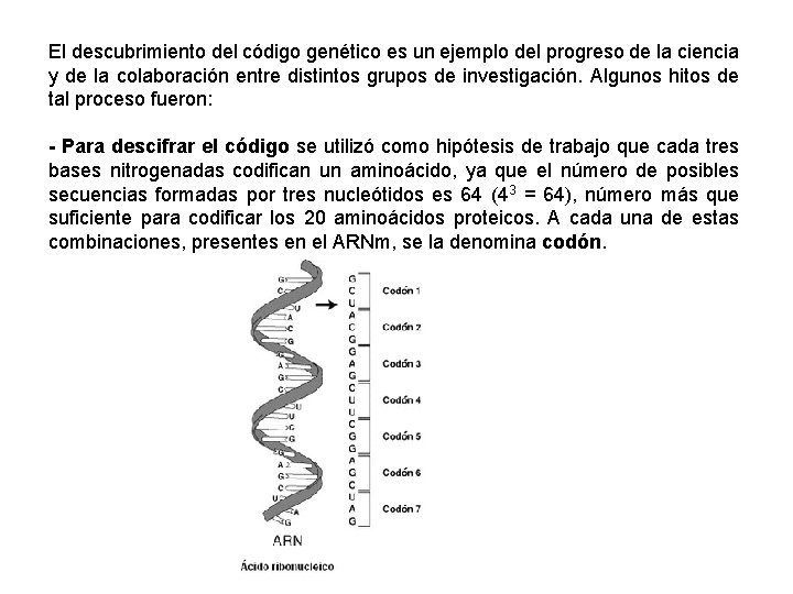 El descubrimiento del código genético es un ejemplo del progreso de la ciencia y