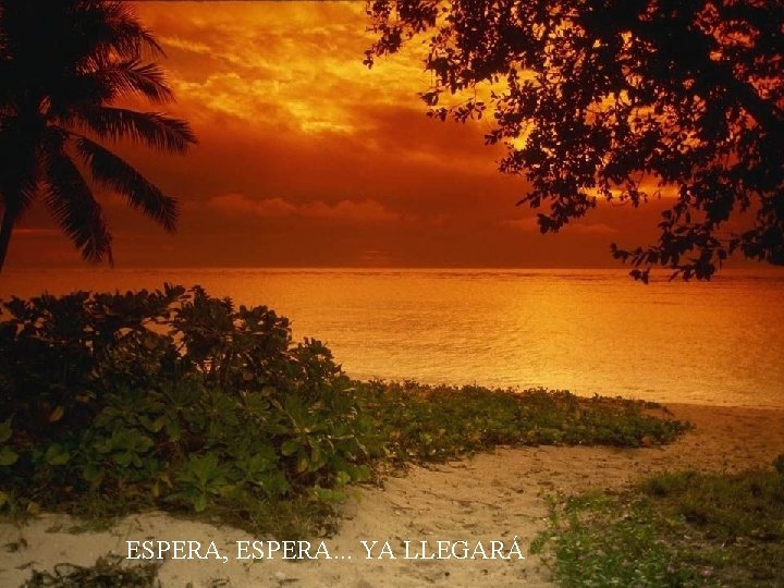 ESPERA, ESPERA. . . YA LLEGARÁ 
