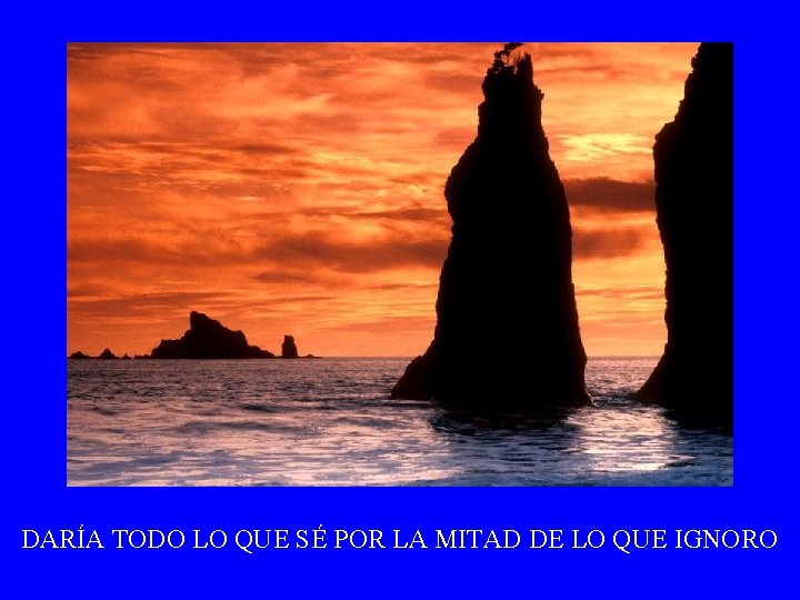 DARÍA TODO LO QUE SÉ POR LA MITAD DE LO QUE IGNORO 