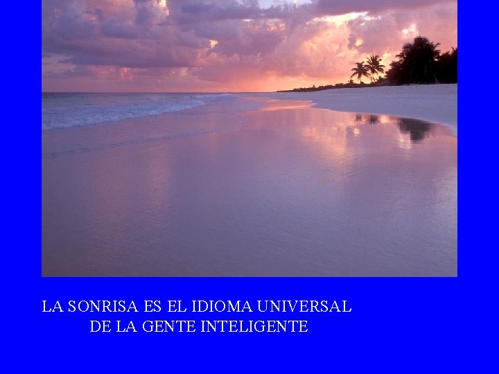 LA SONRISA ES EL IDIOMA UNIVERSAL DE LA GENTE INTELIGENTE 