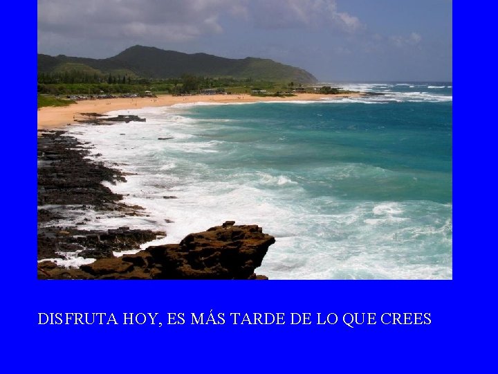 DISFRUTA HOY, ES MÁS TARDE DE LO QUE CREES 