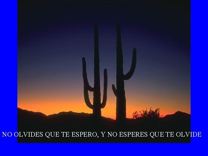 NO OLVIDES QUE TE ESPERO, Y NO ESPERES QUE TE OLVIDE 