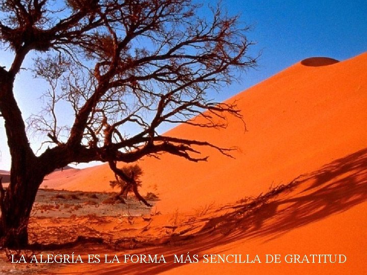 LA ALEGRÍA ES LA FORMA MÁS SENCILLA DE GRATITUD 