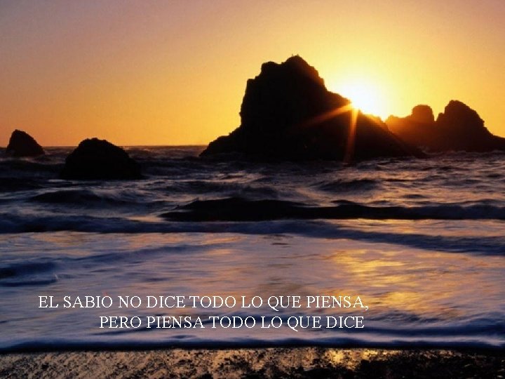 EL SABIO NO DICE TODO LO QUE PIENSA, PERO PIENSA TODO LO QUE DICE