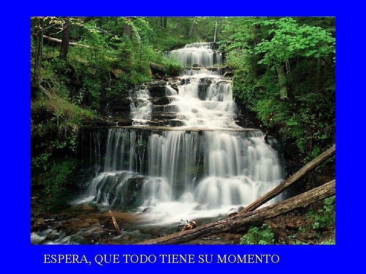 ESPERA, QUE TODO TIENE SU MOMENTO 