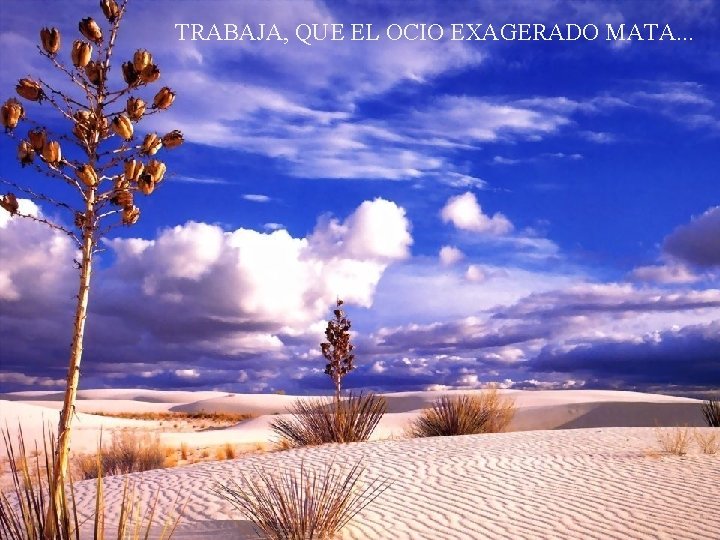 TRABAJA, QUE EL OCIO EXAGERADO MATA. . . 