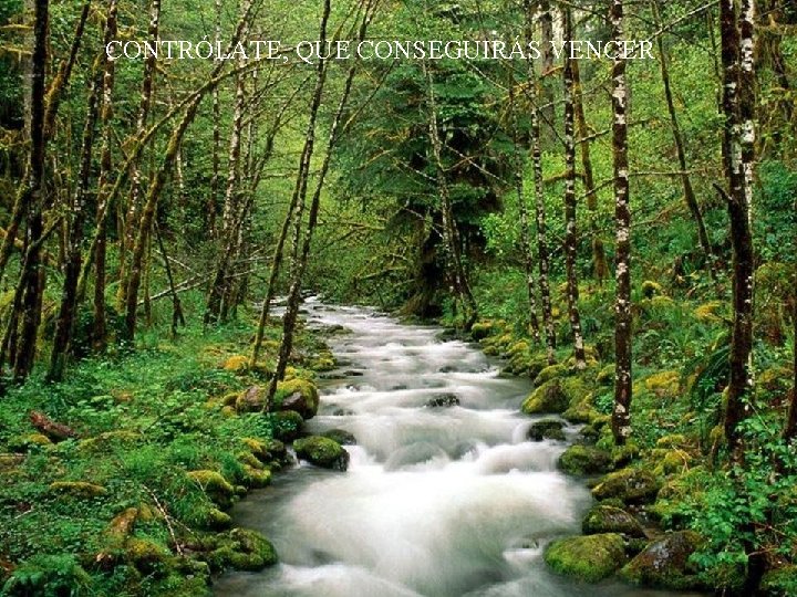 CONTRÓLATE, QUE CONSEGUIRÁS VENCER 