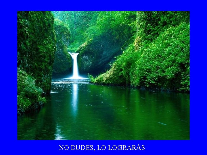 NO DUDES, LO LOGRARÁS 