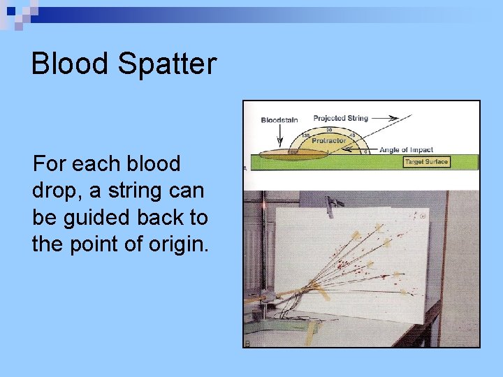Blood Spatter For each blood drop, a string can be guided back to the