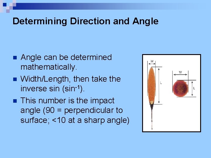 Determining Direction and Angle n n n Angle can be determined mathematically. Width/Length, then