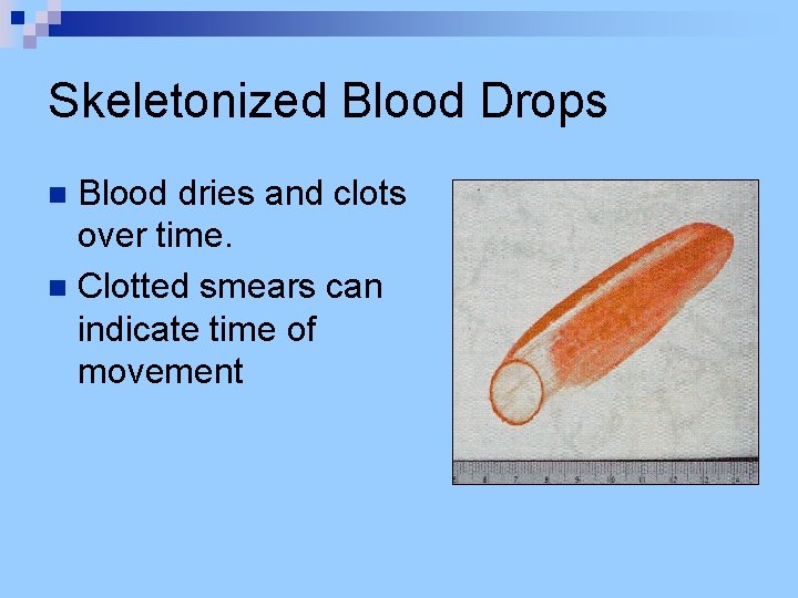 Skeletonized Blood Drops Blood dries and clots over time. n Clotted smears can indicate