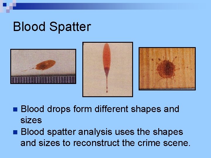 Blood Spatter Blood drops form different shapes and sizes n Blood spatter analysis uses