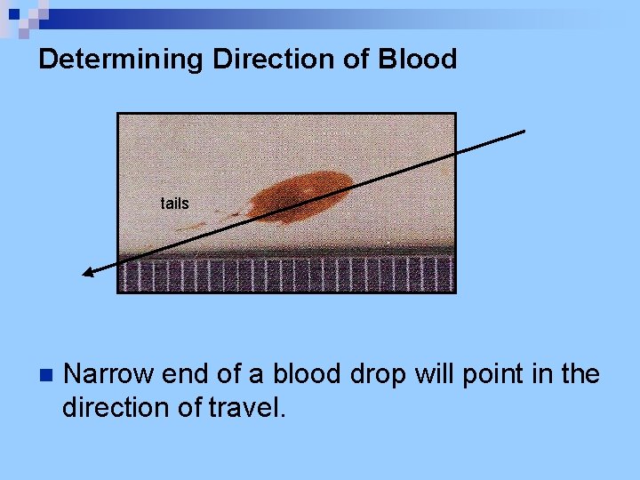 Determining Direction of Blood tails n Narrow end of a blood drop will point